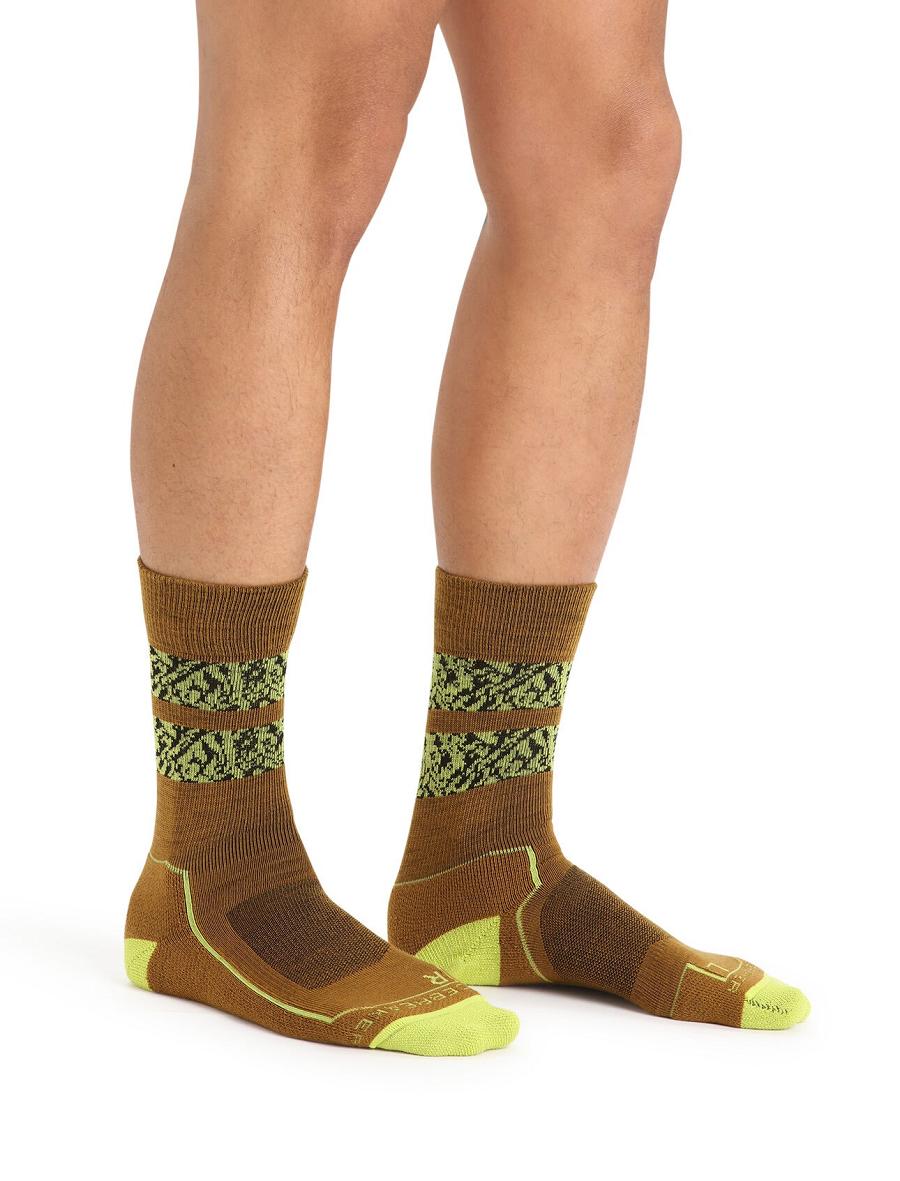 Men's Icebreaker Merino Hike+ Light Crew Natural Summit Socks Clove / Shine | CA 1940DFMN